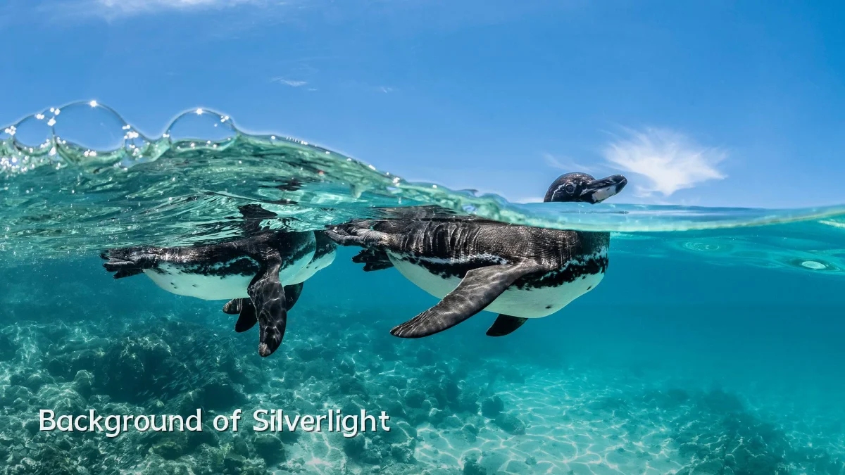 Background of Silverlight