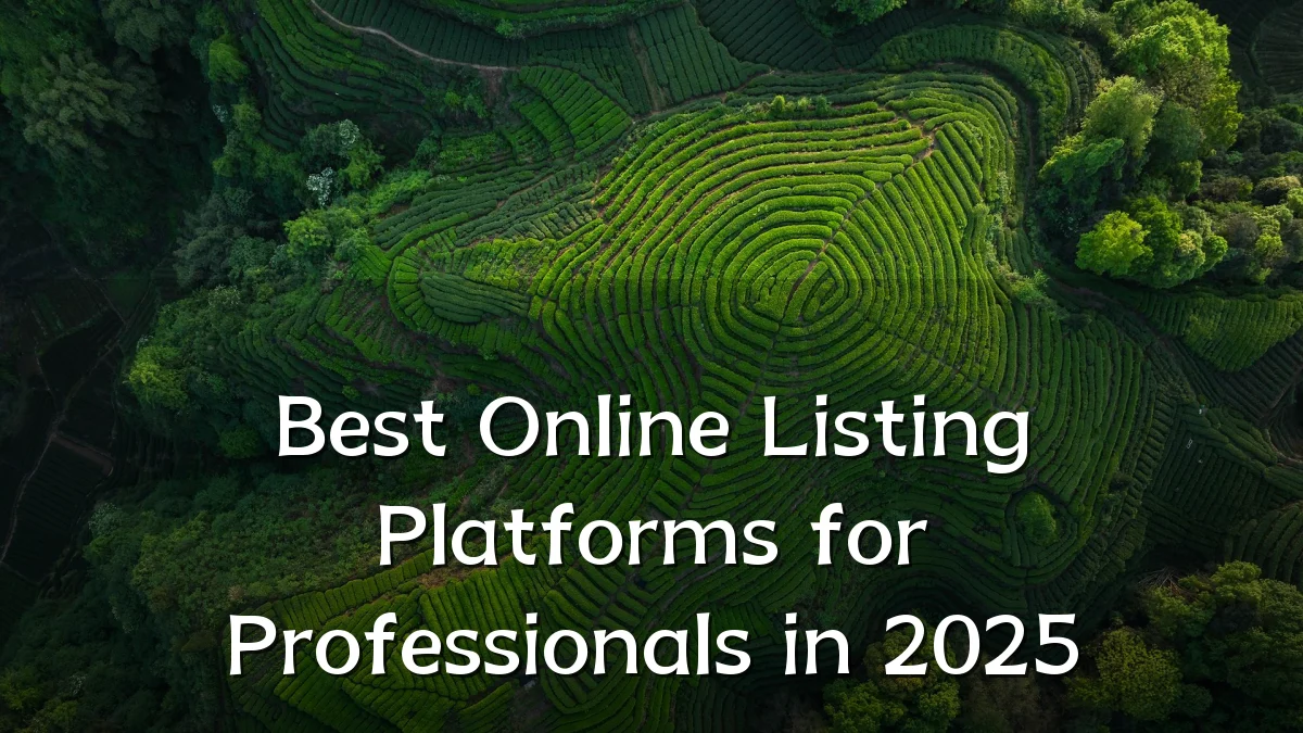 Best Online Listing Platforms for Professionals in 2025