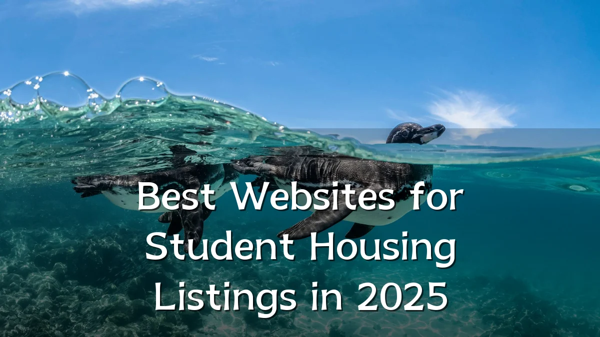 Best Websites for Student Housing Listings in 2025