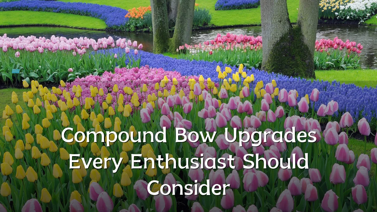 Compound Bow Upgrades Every Enthusiast Should Consider