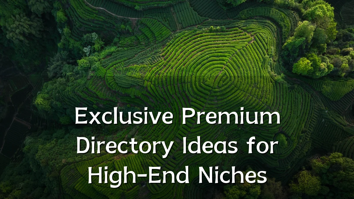 Exclusive Premium Directory Ideas for High-End Niches