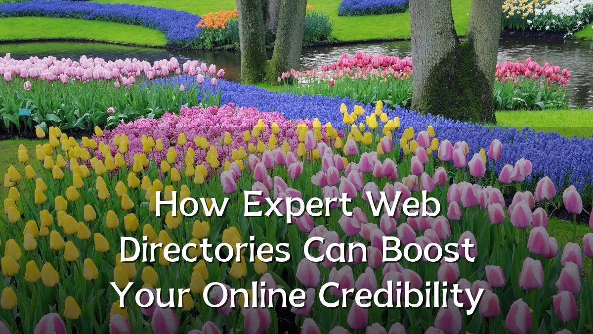 How Expert Web Directories Can Boost Your Online Credibility