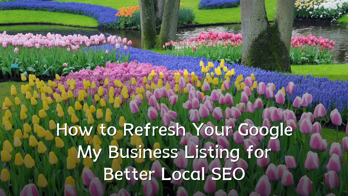 How to Refresh Your Google My Business Listing for Better Local SEO