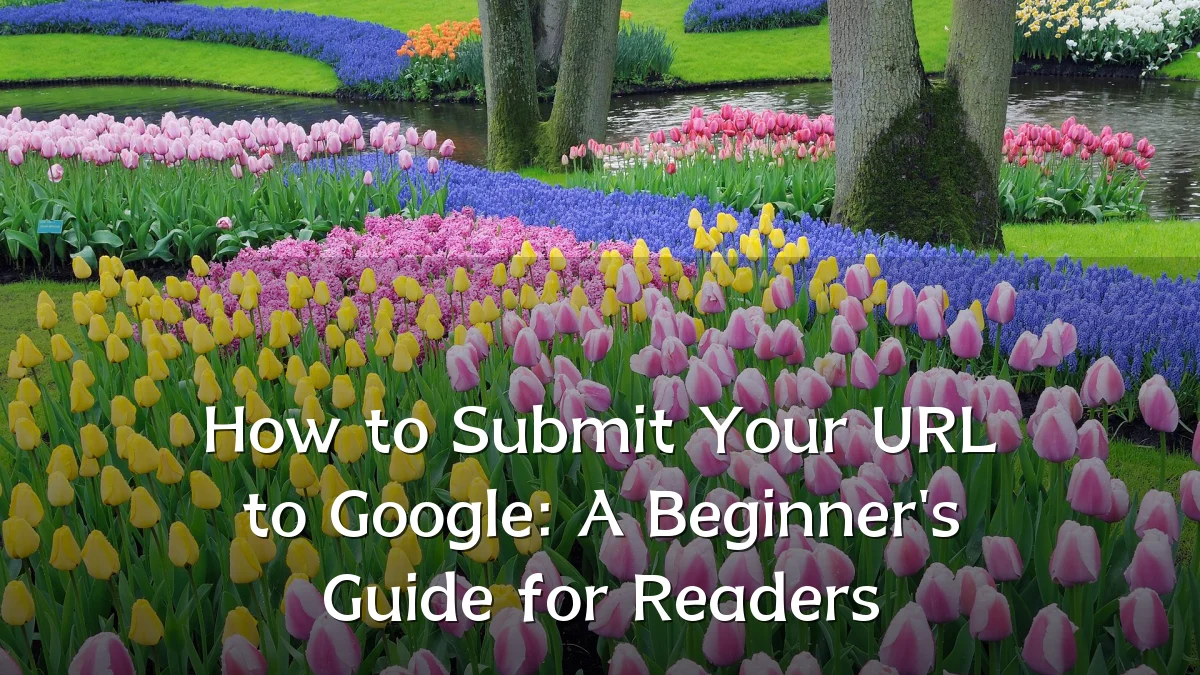 How to Submit Your URL to Google: A Beginner's Guide for Readers