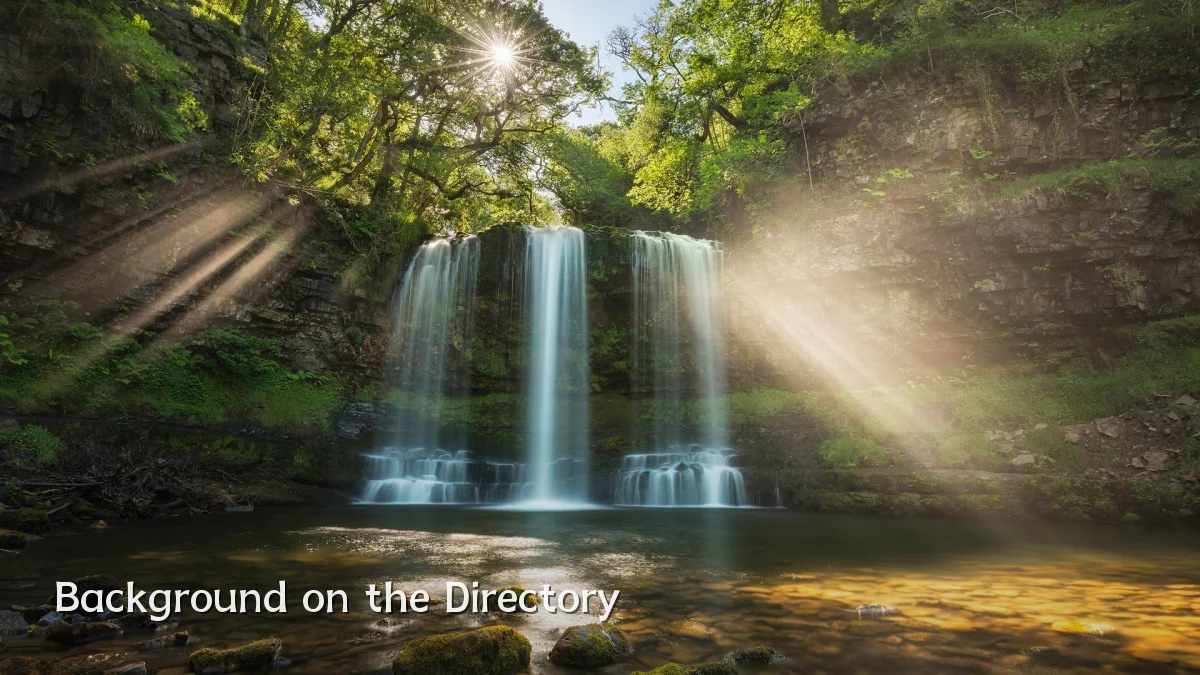 Background on the Directory