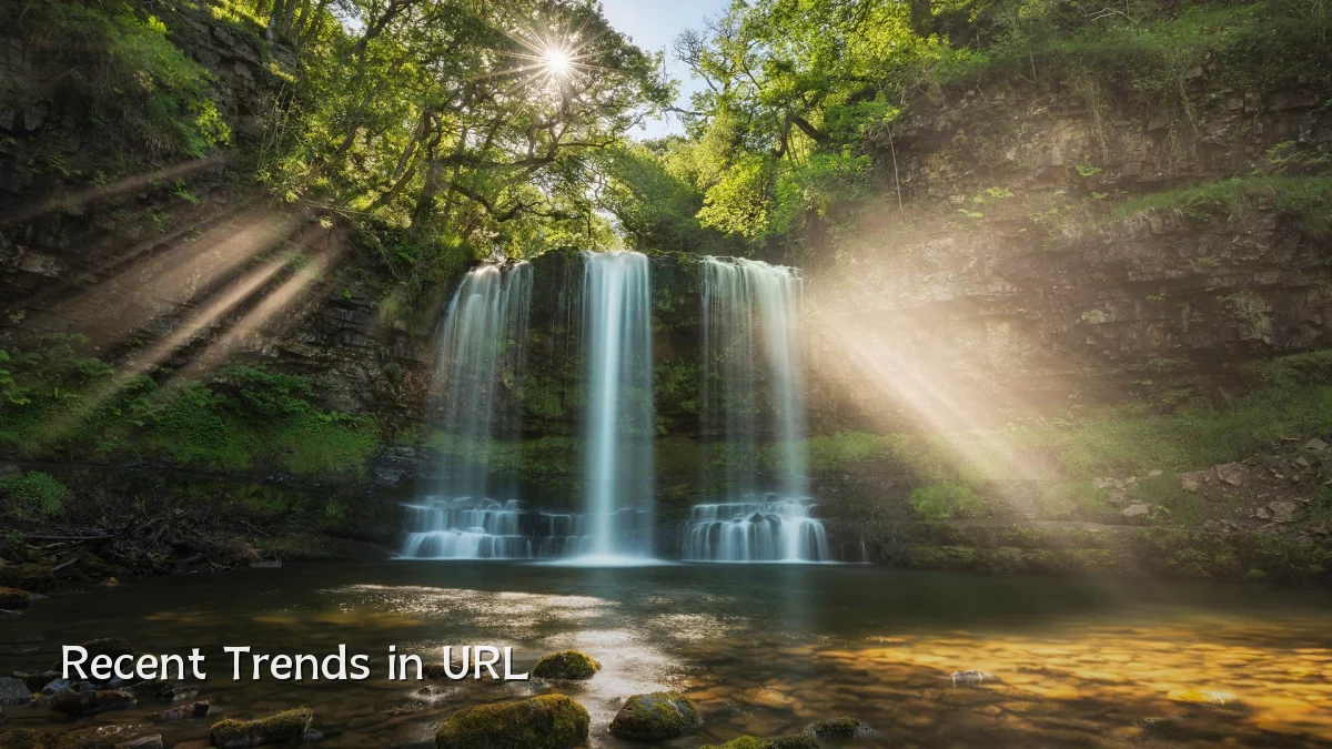 Recent Trends in URL