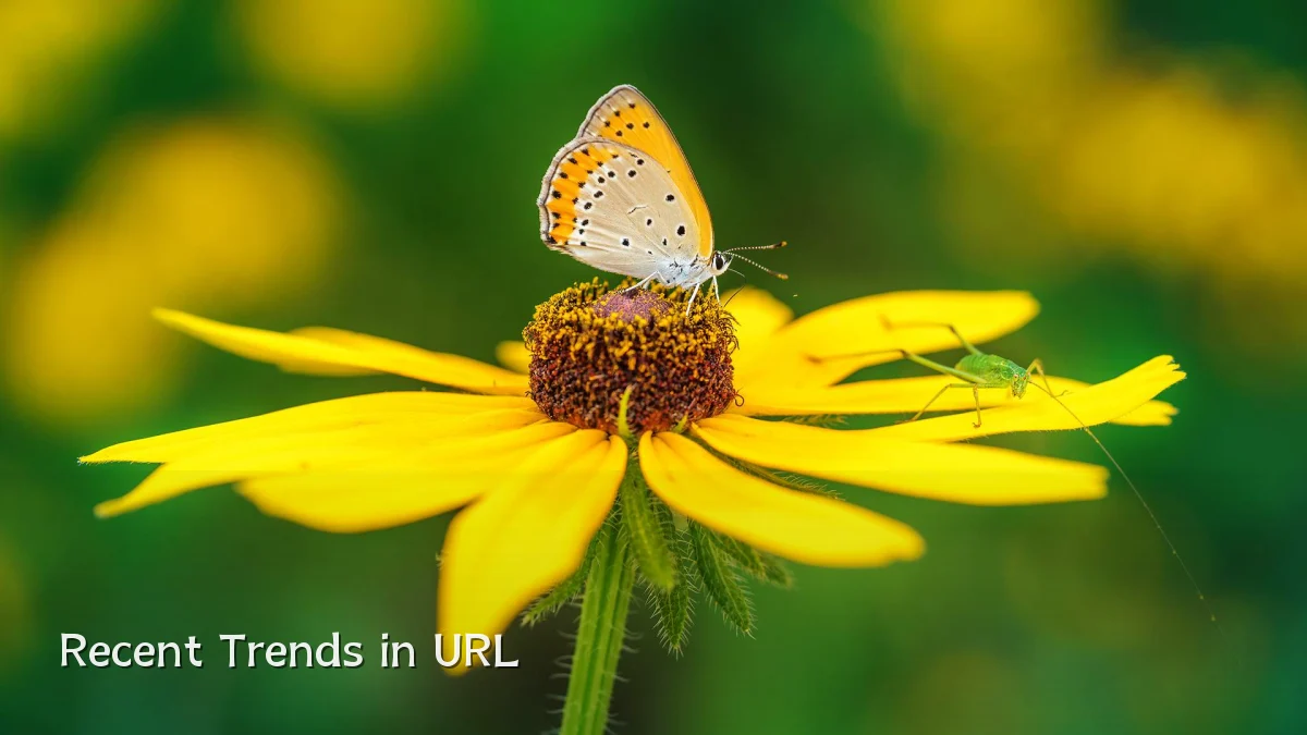 Recent Trends in URL
