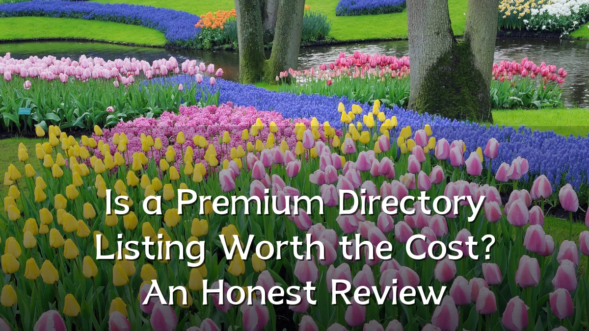 Is a Premium Directory Listing Worth the Cost? An Honest Review