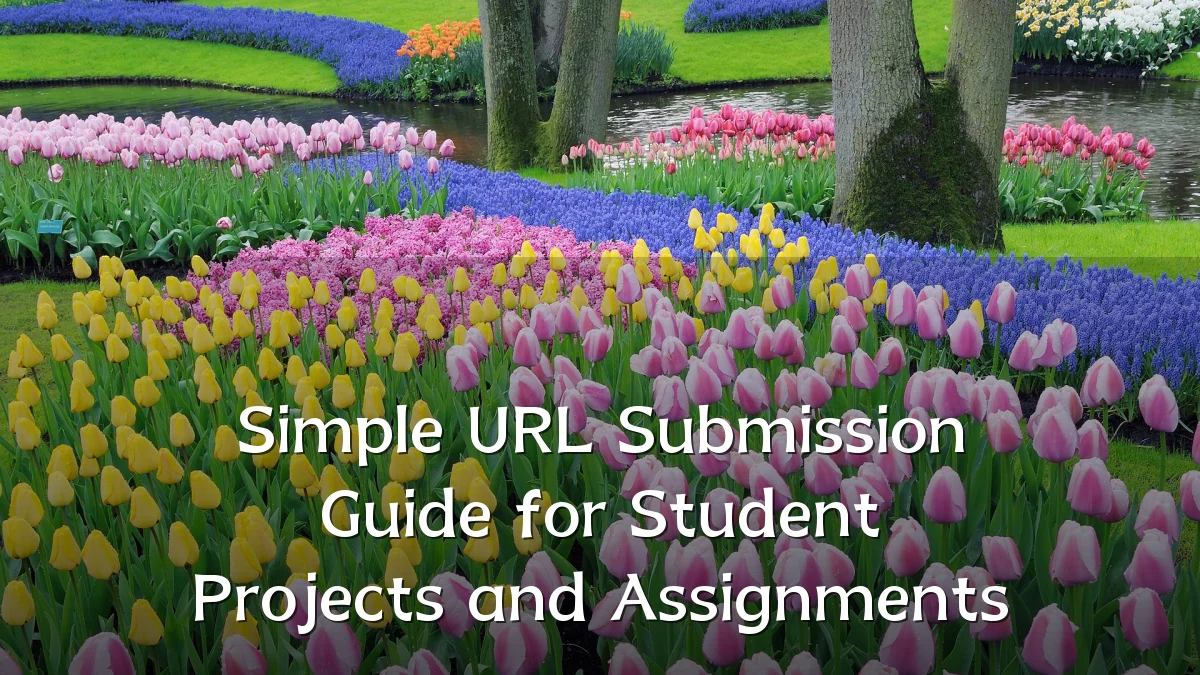 Simple URL Submission Guide for Student Projects and Assignments