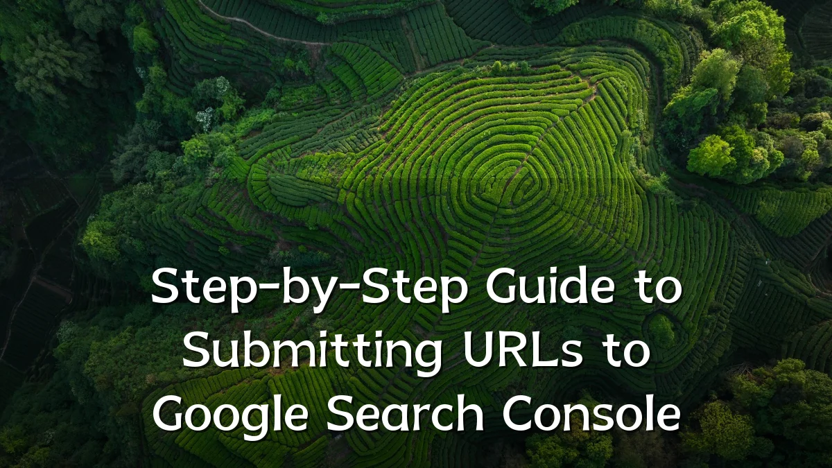 Step-by-Step Guide to Submitting URLs to Google Search Console
