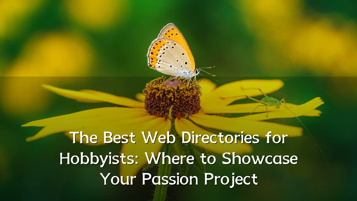 The Best Web Directories for Hobbyists: Where to Showcase Your Passion Project