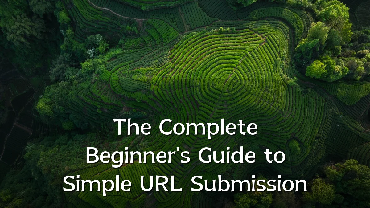 The Complete Beginner's Guide to Simple URL Submission