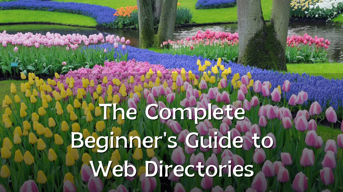 The Complete Beginner's Guide to Web Directories