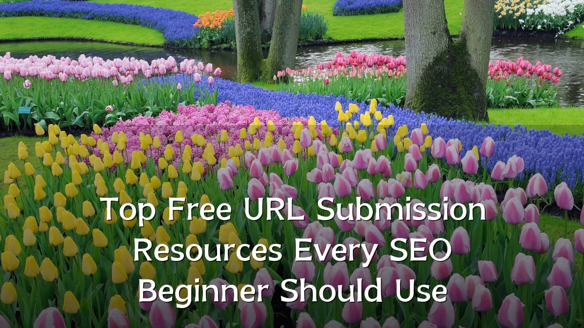 Top Free URL Submission Resources Every SEO Beginner Should Use