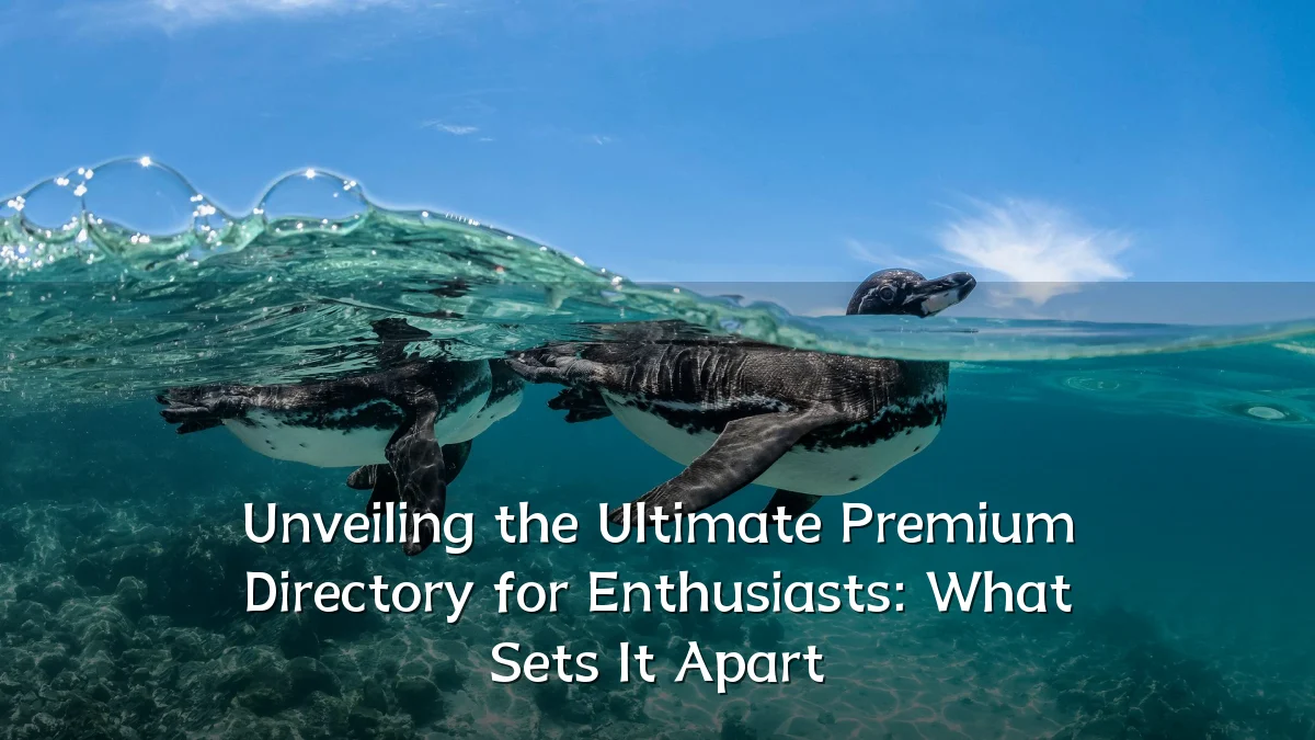 Unveiling the Ultimate Premium Directory for Enthusiasts: What Sets It Apart
