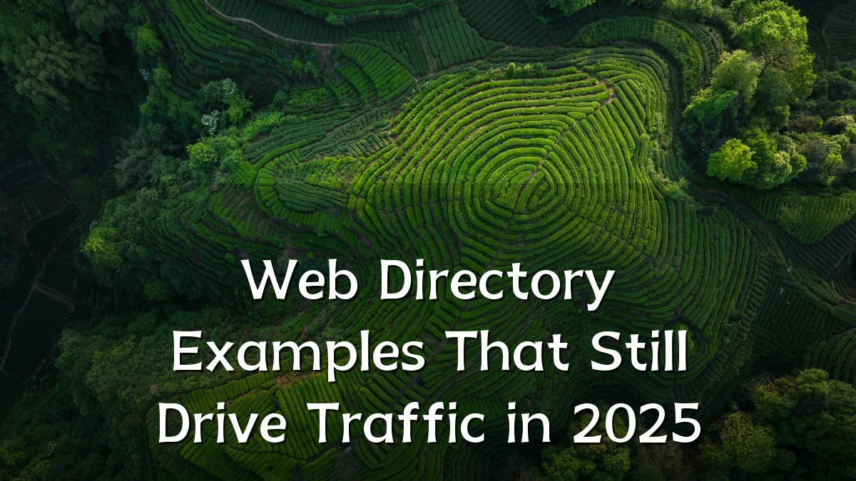 Web Directory Examples That Still Drive Traffic in 2025