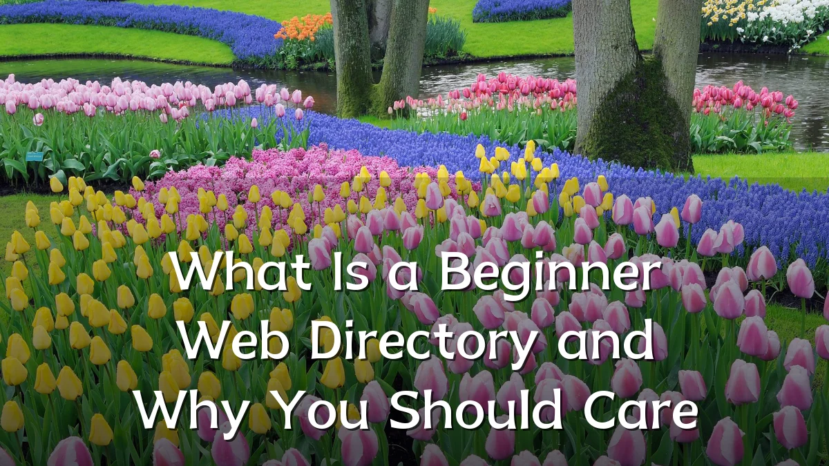 What Is a Beginner Web Directory and Why You Should Care