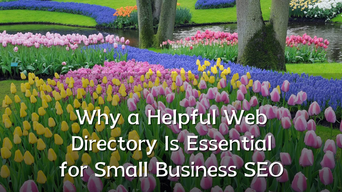 Why a Helpful Web Directory Is Essential for Small Business SEO