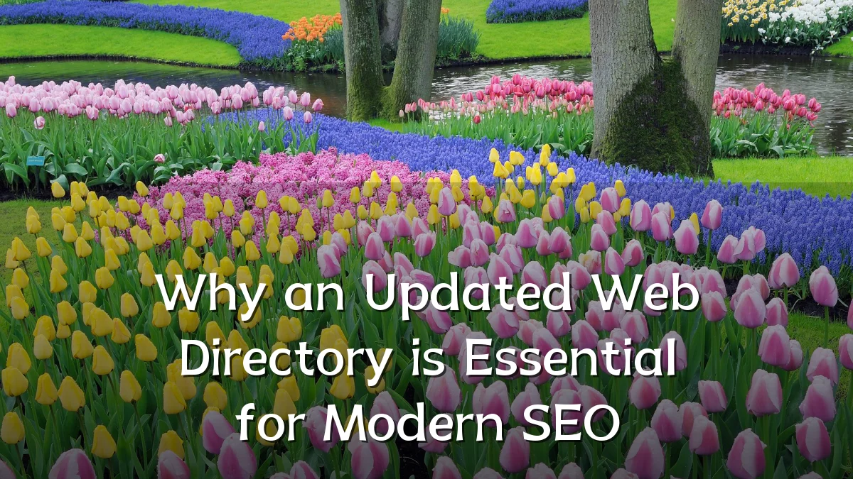 Why an Updated Web Directory is Essential for Modern SEO