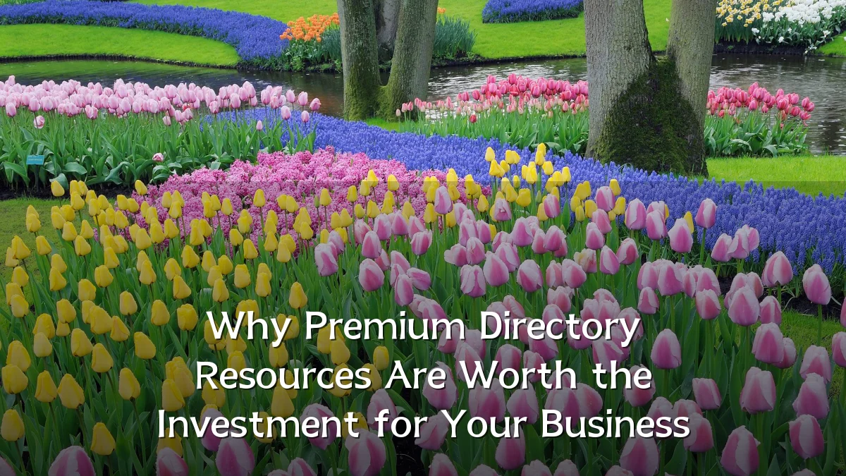 Why Premium Directory Resources Are Worth the Investment for Your Business