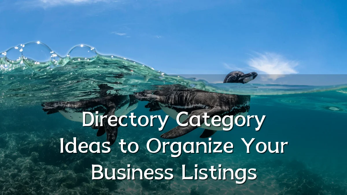 Directory Category Ideas to Organize Your Business Listings