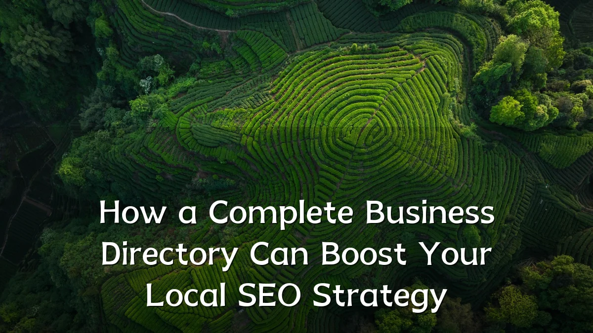 How a Complete Business Directory Can Boost Your Local SEO Strategy