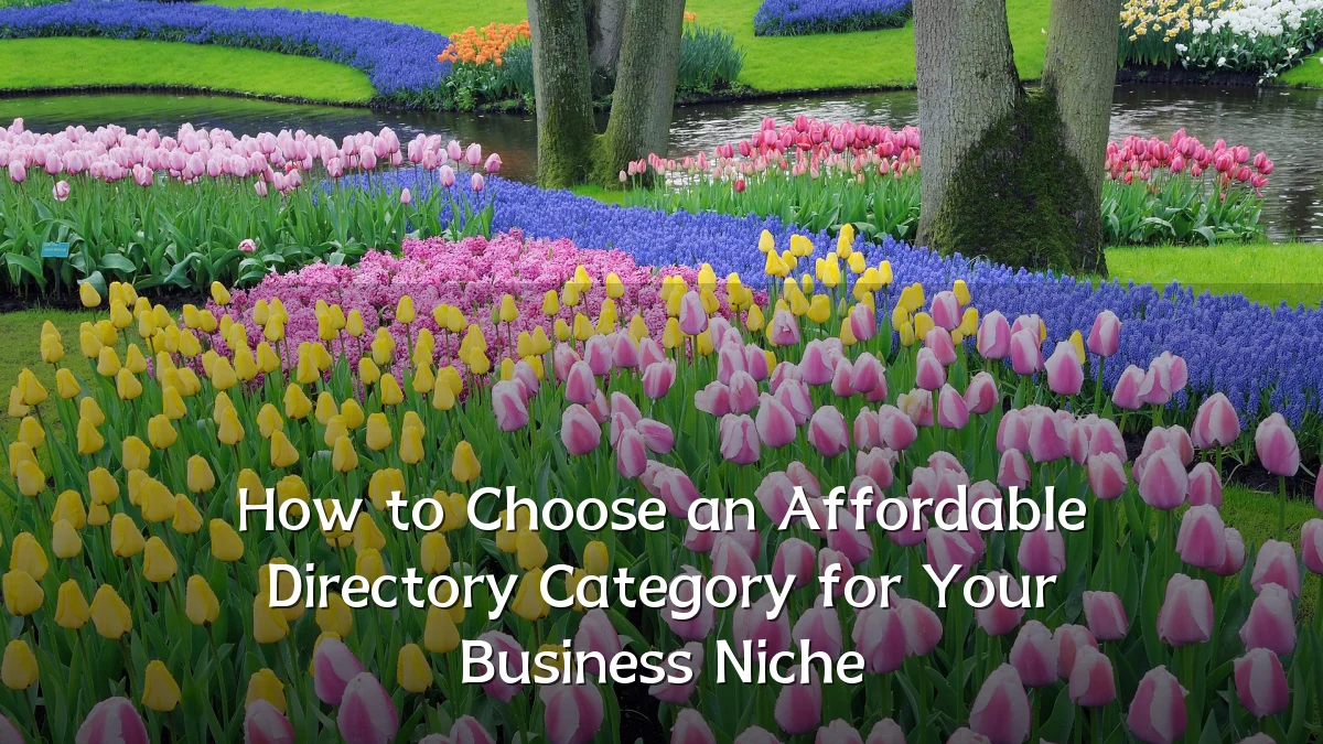 How to Choose an Affordable Directory Category for Your Business Niche