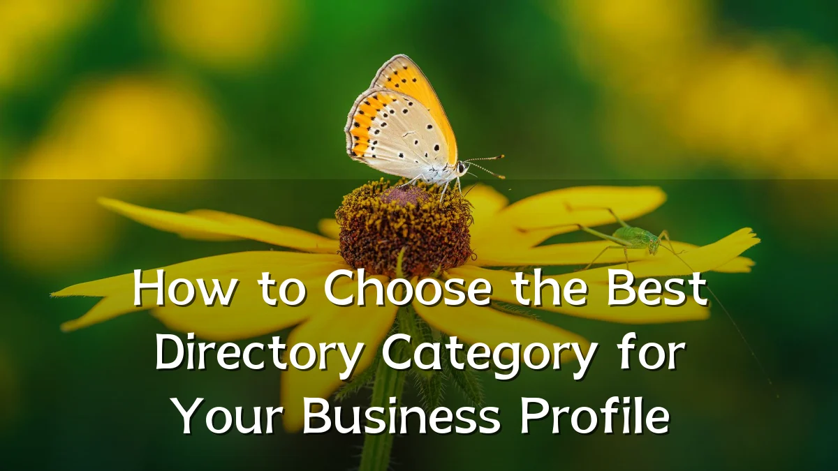 How to Choose the Best Directory Category for Your Business Profile
