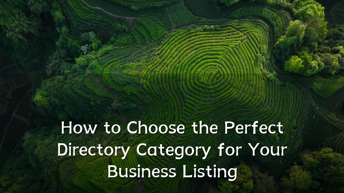 How to Choose the Perfect Directory Category for Your Business Listing