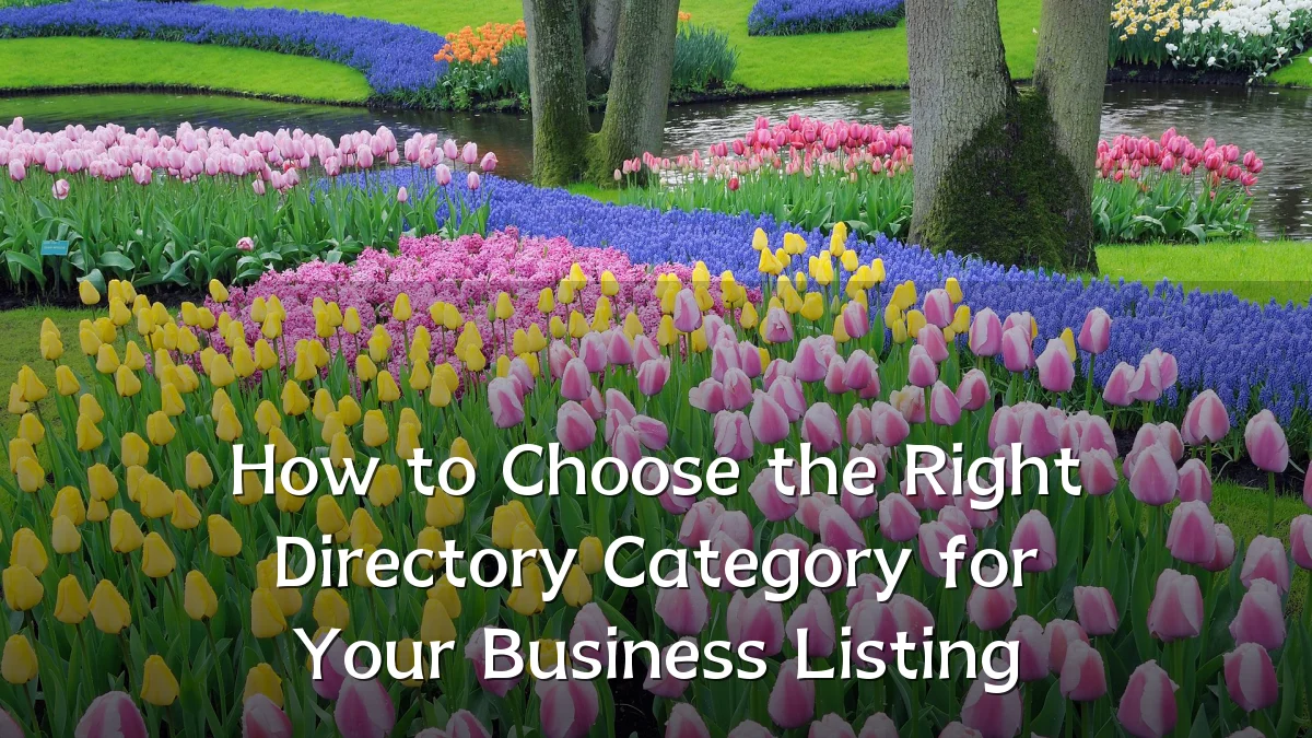 How to Choose the Right Directory Category for Your Business Listing