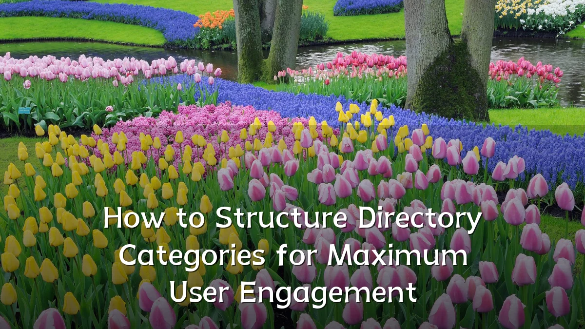 How to Structure Directory Categories for Maximum User Engagement