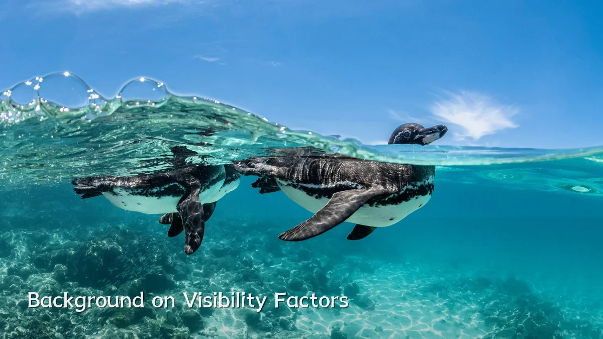 Background on Visibility Factors