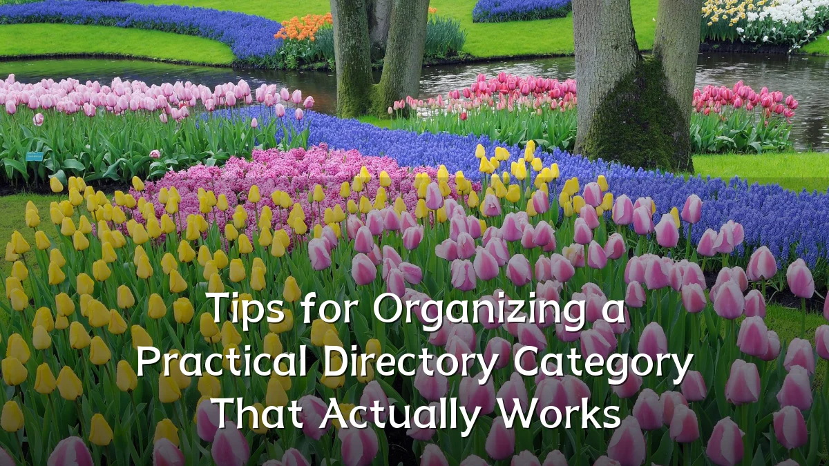 Tips for Organizing a Practical Directory Category That Actually Works
