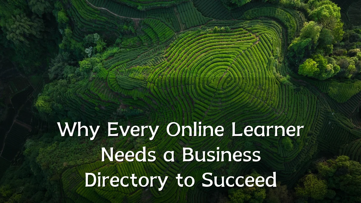 Why Every Online Learner Needs a Business Directory to Succeed