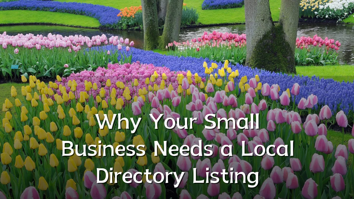 Why Your Small Business Needs a Local Directory Listing