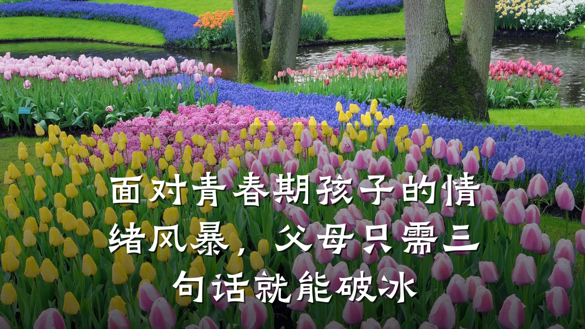 面对青春期孩子的情绪风暴，父母只需三句话就能破冰